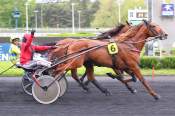 La photo de Jazzman Debailleul Arrivée Quinté+ PMU Prix Albert Demarcq à Vincennes