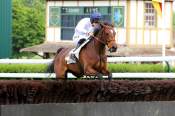 La photo de Murcia Prix du Grand Maitre à Compiègne