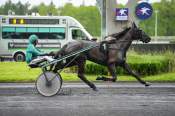 La photo de Lara De Chenu arrivée pmu Prix de Murzim à Vincennes