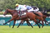 La photo de Clavus arrivée Quinté+ pmu Prix de la Ville de Paris à Longchamp