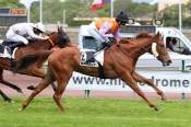 La photo de Lagoone Chope arrivée pmu Prix de Vitrolles à Marseille-Borelly