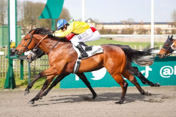 La photo de Bauhinia Rhapsody 