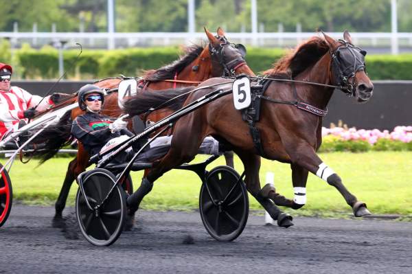 La photo de SPEEDRISE LADY S