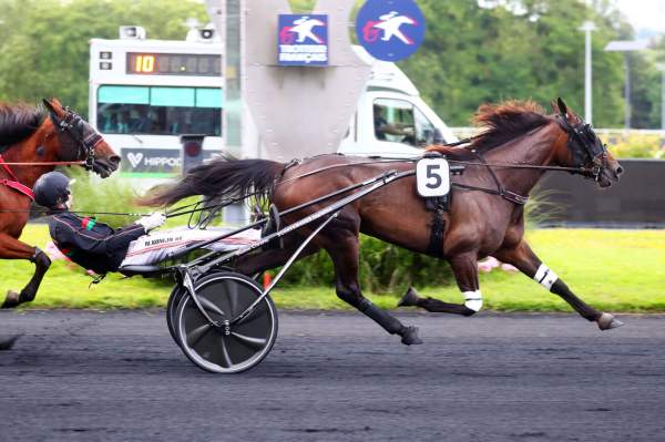 La photo de SPEEDRISE LADY S