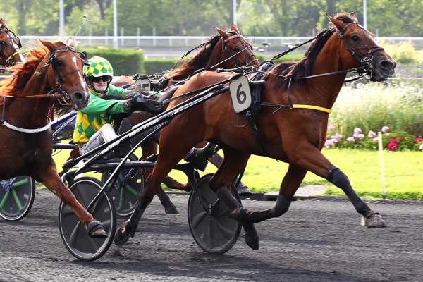 La photo de JOLVIK DE GUEZ