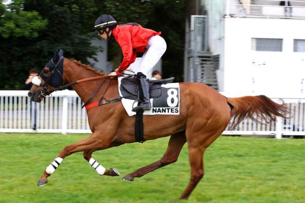 La photo de FANTASTIC VALLEY