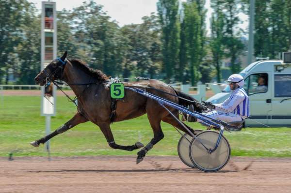 La photo de KLASSICA BLEUE