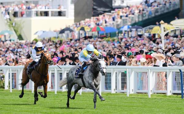 La photo de Charyn arrivée pmu Queen Anne Stakes à Ascot