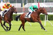 La photo de Elamaz Arrivée Quinté+ Pmu Handicap d'Eté à Saint-Cloud