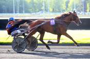 La photo de Louve De Reve D'or arrivée pmu Prix Pénélope à Vincennes