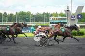 La photo de Lexington Danica arrivée pmu Prix Camilla à Vincennes