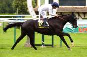 La photo de Black Hawk arrivée pmu Prix Au Dela Des Pistes à Compiègne