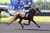 La photo de Jeroboam D'erable Arrivée PMU Prix de Normandie - Etrier 5 Ans Finale à Vincennes