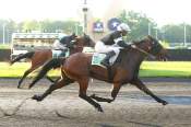 La photo de Hurlevent arrivée pmu Prix Furnerius à Vincennes