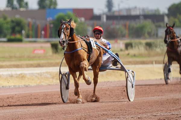 La photo de HELDIEN ALFA