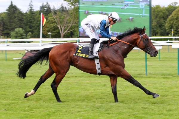 La photo de Kaneshya Arrivée Quinté+ Pmu Prix du Château de Pierrefonds à Compiègne