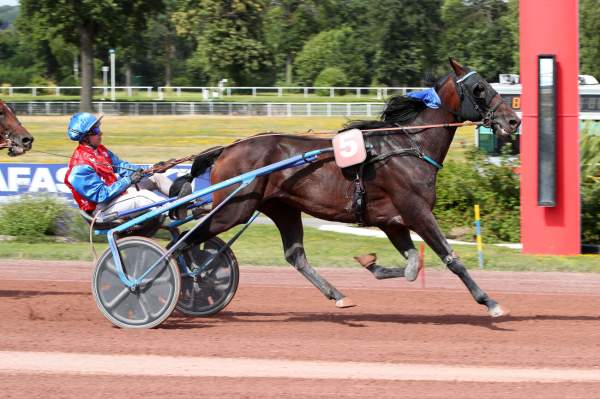 La photo de JOKER D'OCCAGNES