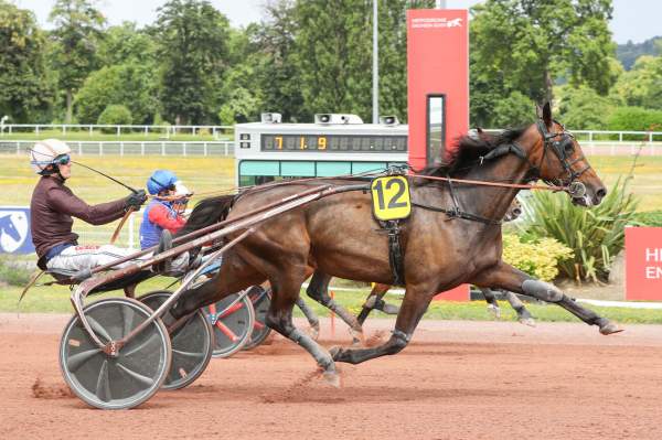 La photo de Harley Gema Arrivée Quinté+ PMU Prix du Palais de Chaillot à Enghien