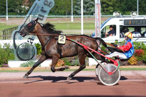 La photo de JOSELITO DU VIVIER