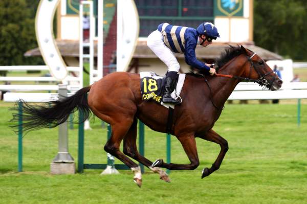 La photo de PRAIRIE GLORY