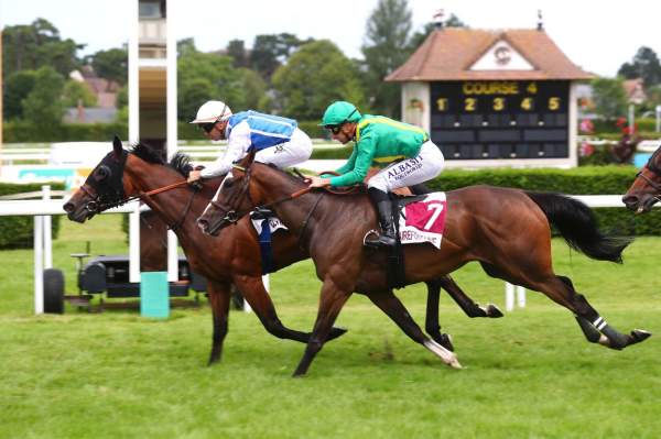 La photo de Left Sea arrivée pmu Prix du Pays d'Auge - 9è étape du Défi du Galop (L) à Clairefontaine