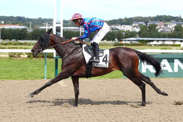 La photo de Beautiful Aspen Arrivée Quinté+ PMU Prix des Collectivités Locales à Deauville