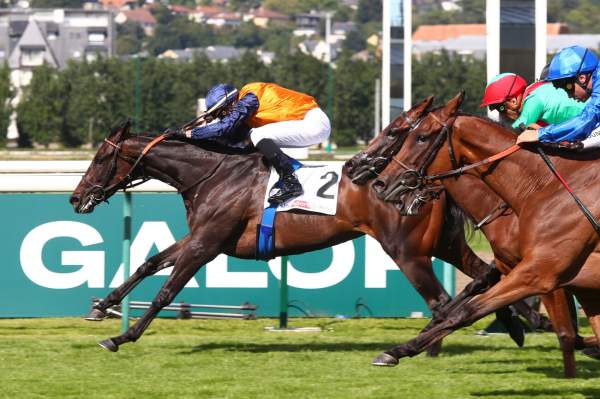 La photo de Almara Arrivée PMU Prix de Psyche Sky Sports Racing à Deauville