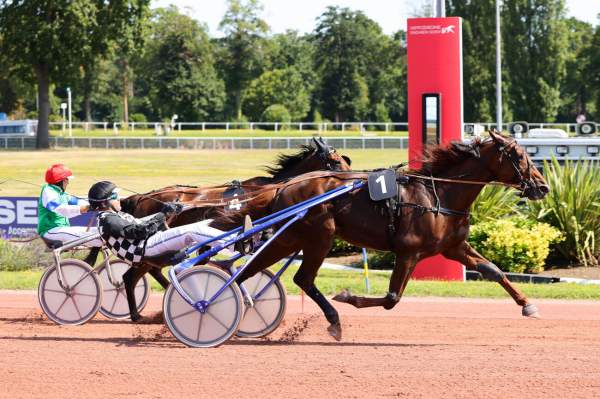 Photo de HERMES DU CHATAULT cheval de TROT ATTELE