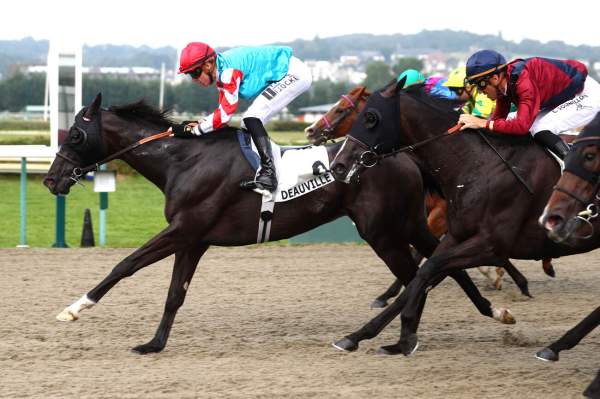 La photo de Pedrito arrivée Quinté+ pmu Prix de la Villa Lucie à Deauville