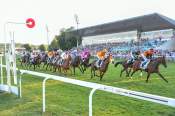 La photo de Hippodrome De Vichy 