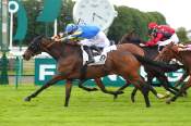 La photo de Samagace Du Vivien arrivée pmu Prix du Bois Saint-Denis à Chantilly