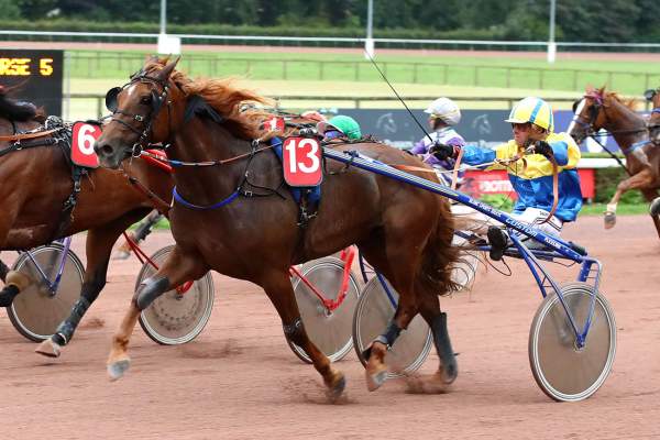 Photo de JEEP DE DALINE cheval de TROT ATTELE