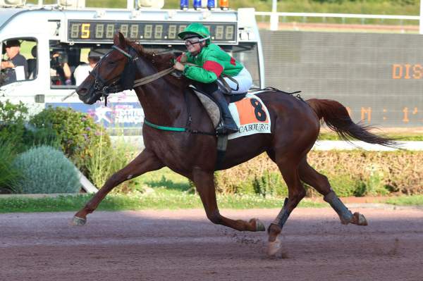 La photo de IBILI D'OCCAGNES