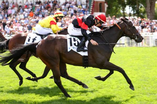 La photo de Etatique Arrivée Quinté+ Pmu Grand Handicap de Deauville