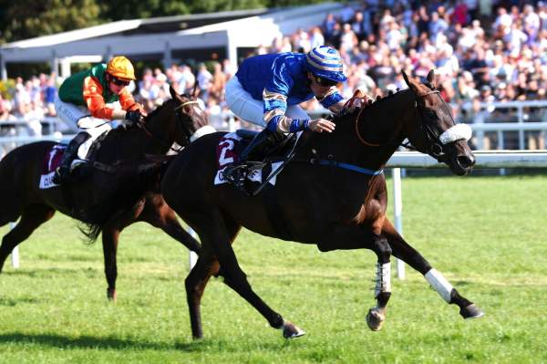 La photo de Grandbat Arrivée Quinté+ Pmu Prix de Tourgeville à Clairefontaine