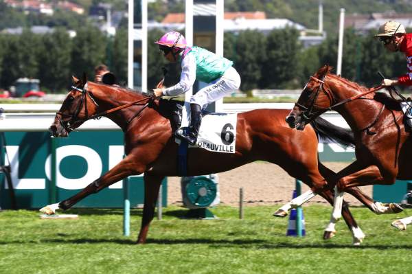 La photo de Nesthorn arrivée pmu Prix de Montaigu à Deauville