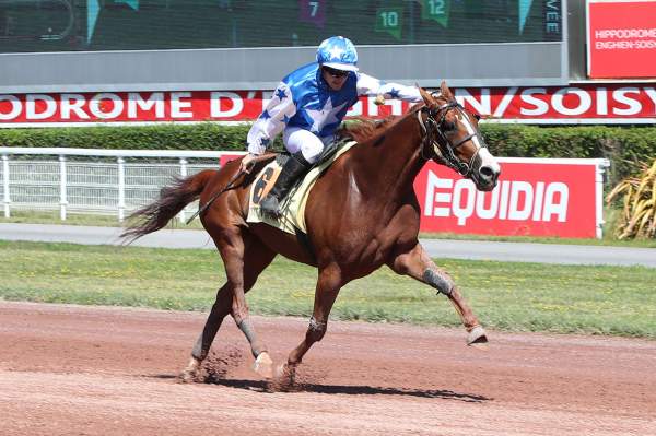 Photo de KISS AND FORGET cheval de TROT MONTE