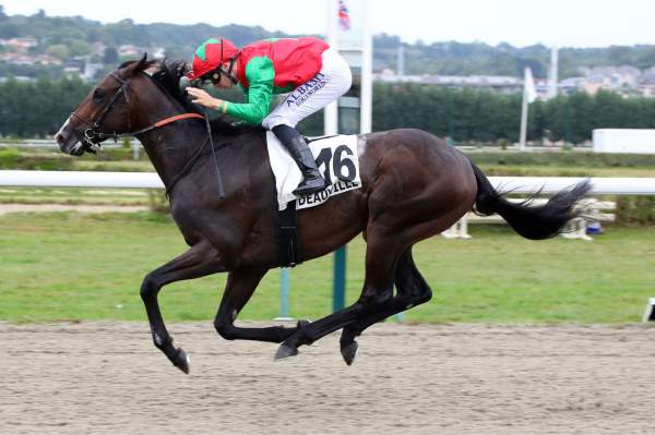 La photo de Blue Brother arrivée Quinté+ pmu Prix de Balleroy à Deauville