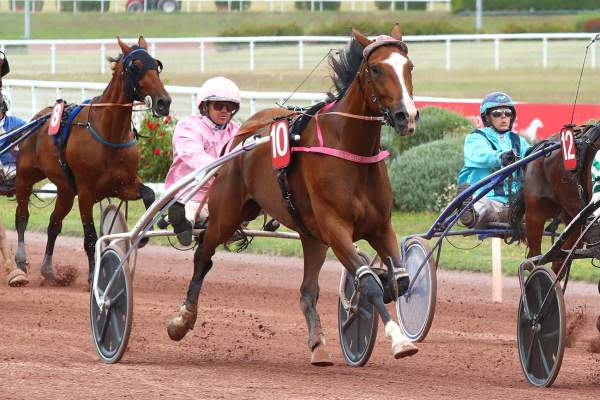 Photo de KING SUN DRALIAM cheval de TROT ATTELE