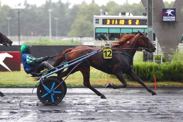 La photo de Lotta Bourbon arrivée pmu Prix Reine du Corta - Critérium 3 ans Q1 à Vincennes