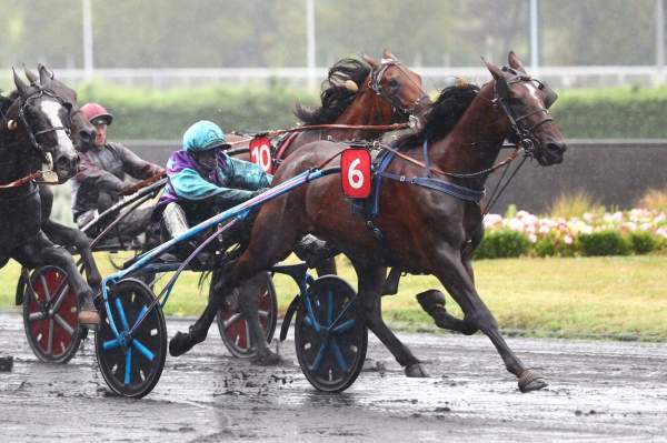 La photo de Kristal Josselyn arrivée pmu Prix Phaéton - Critérium 4 ans Q1 (Gr. II) à Vincennes