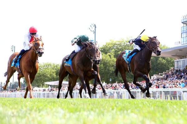 La photo de Mqse De Sevigne arrivée pmu Prix Jean Romanet (Gr.1) 2024 à Deauville