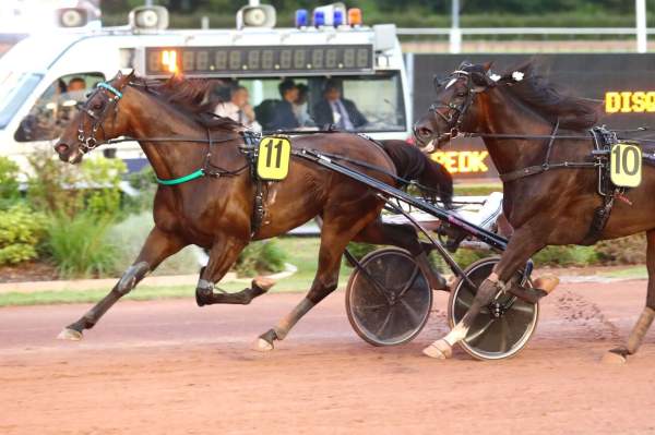 La photo de Hasard D'erable Arrivée Quinté+ PMU Prix d'Argentan à Cabourg