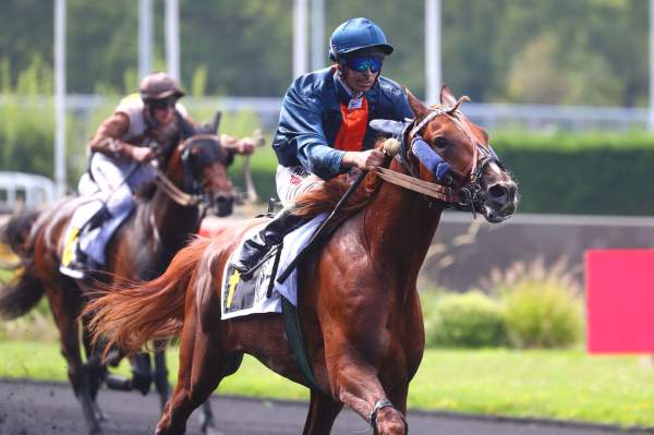 La photo de Le Voyou D'almo Arrivée course PMU Prix Phact à Vincennes