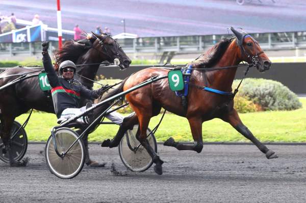 La photo de Largo De Castelle Arrivée PMU Yearling Cup 2024 - Arqana Trot à Vincennes