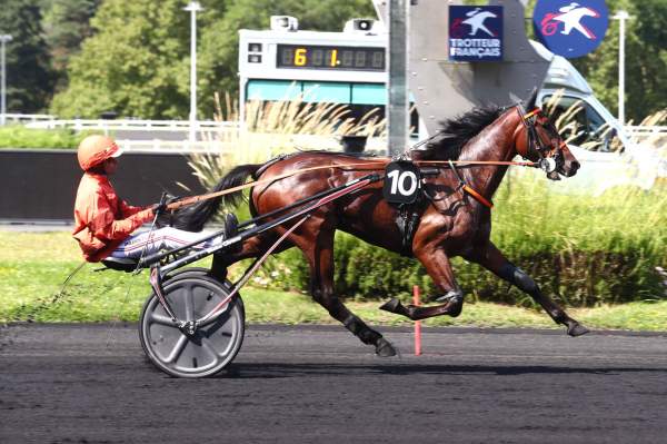 La photo de MAGNUM DU CHOQUEL