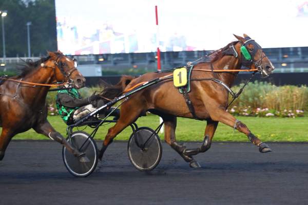 La photo de Helios Djema Arrivée Quinté+ PMU Prix Diotima à Vincennes