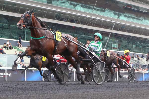 La photo de Jushua Tree Arrivée Quinté+ PMU Prix le Prix Jockey-Critérium 5 ans Q2 à Vincennes