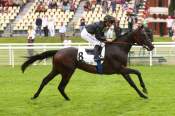 La photo de Lucky Wine arrivée pmu Prix des Hautes mottes à Deauville