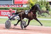 La photo de Kiss Wood arrivée pmu Prix des Ternes à Enghien